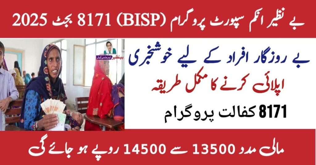 Benazir Income Support Program 8171 Budget
